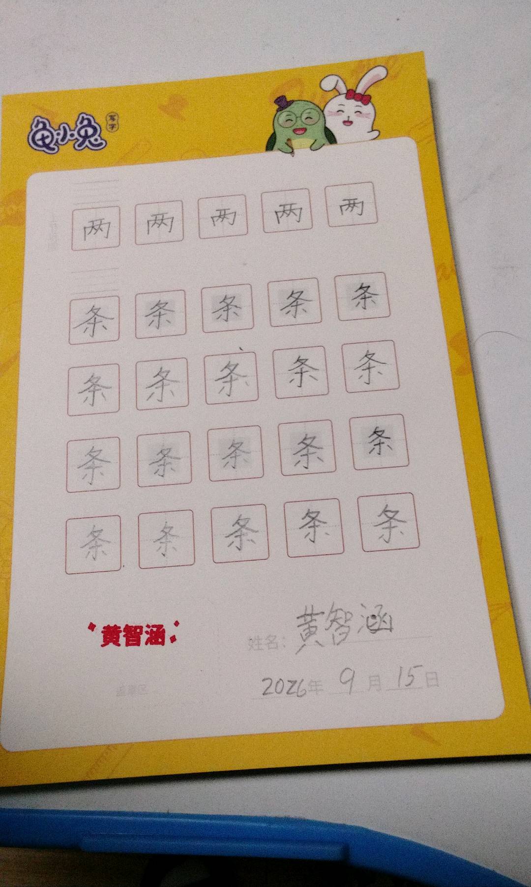龟小兔写字优秀作品展示：涵涵/二年级/练字1天