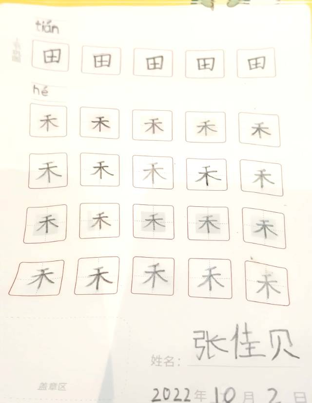 龟小兔写字优秀作品展示：张佳贝/一年级/练字1天