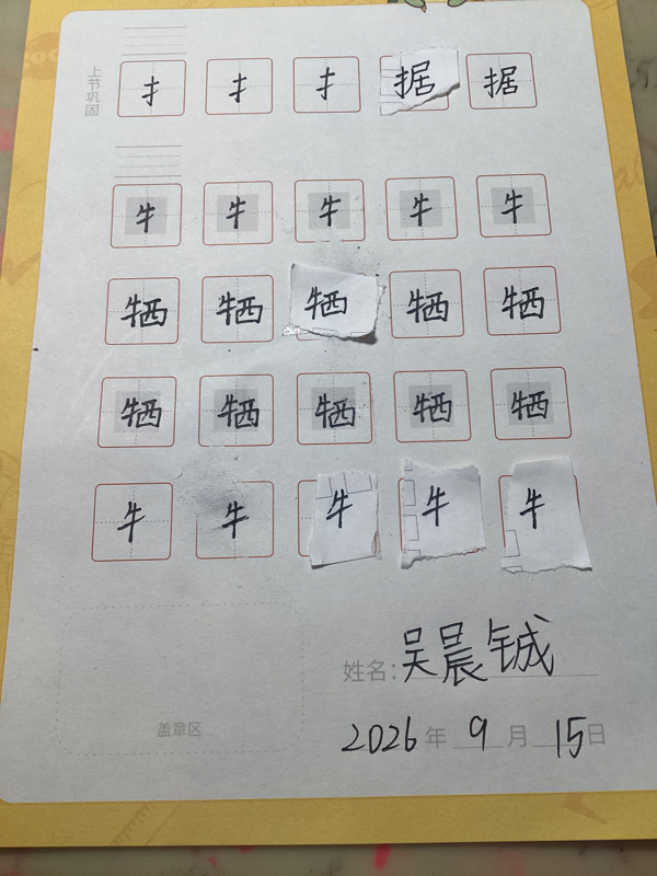 龟小兔写字优秀作品展示：吴晨铖/五年级/练字1天